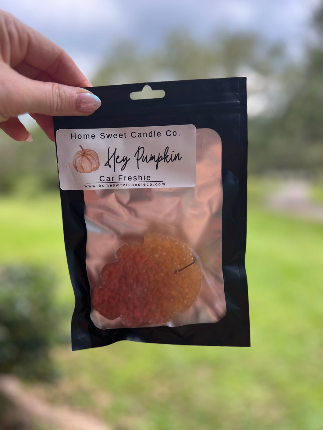 Hey Pumpkin Car Freshie - Fall Collection