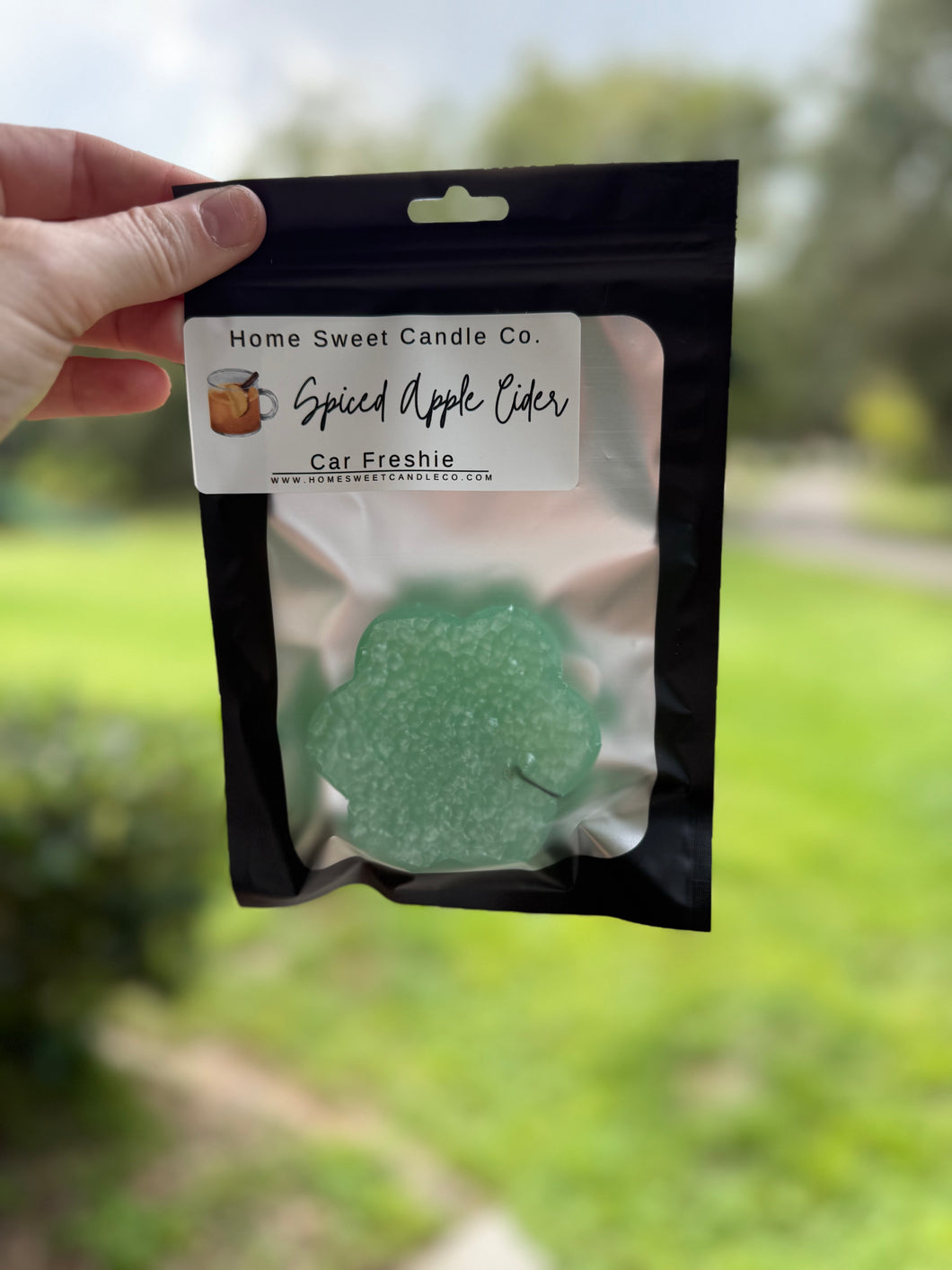 Spiced Apple Cider Car Freshie - Fall Collection