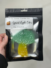 Load image into Gallery viewer, Spiced Apple Cider Car Freshie - Fall Collection
